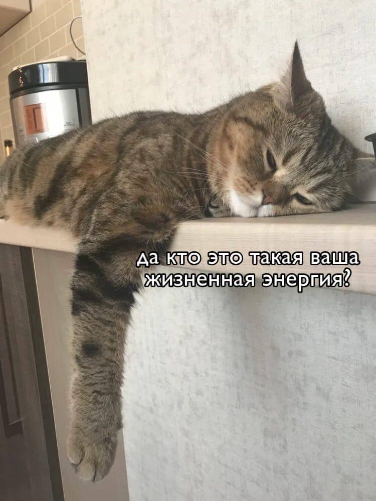 IMG_4803.jpeg