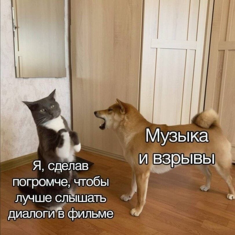 IMG_4804.jpeg