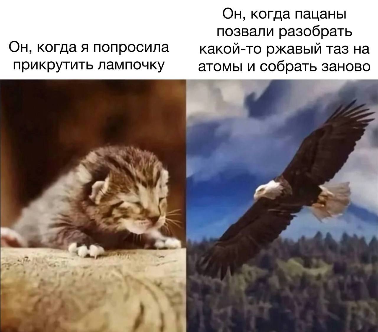 IMG_4817.jpeg