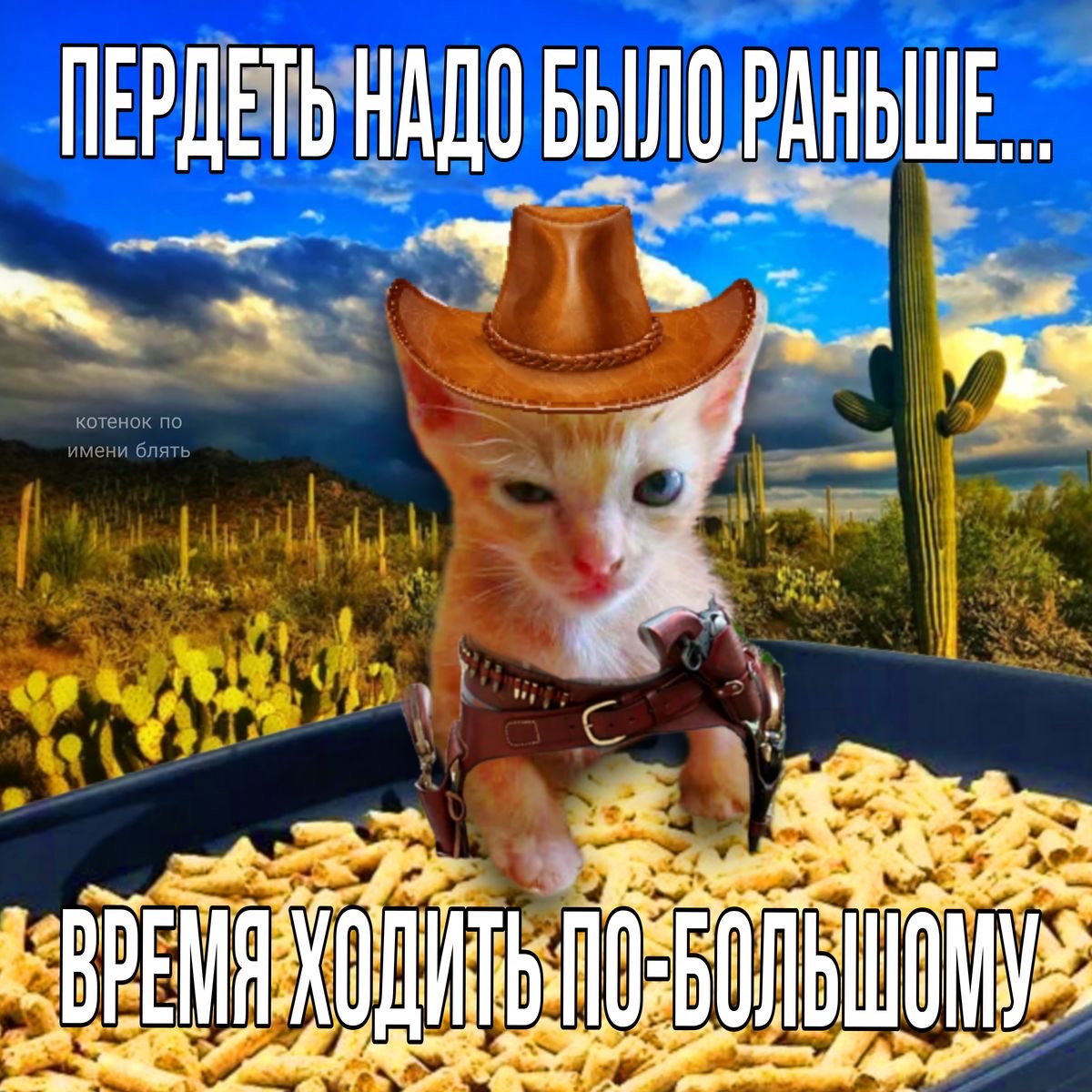 IMG_5042.jpeg