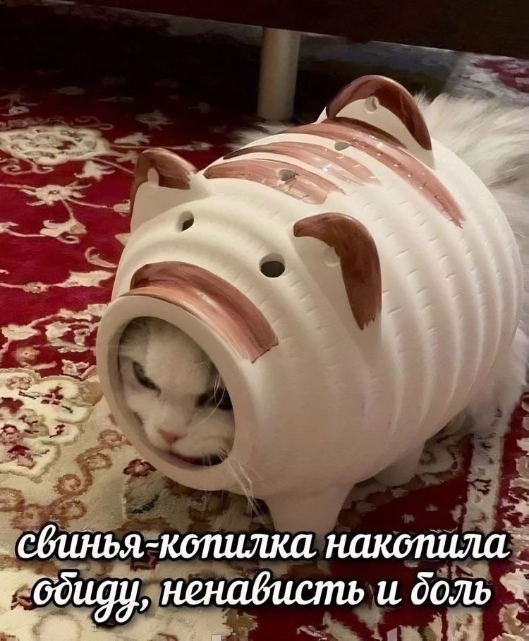 IMG_5142.jpeg