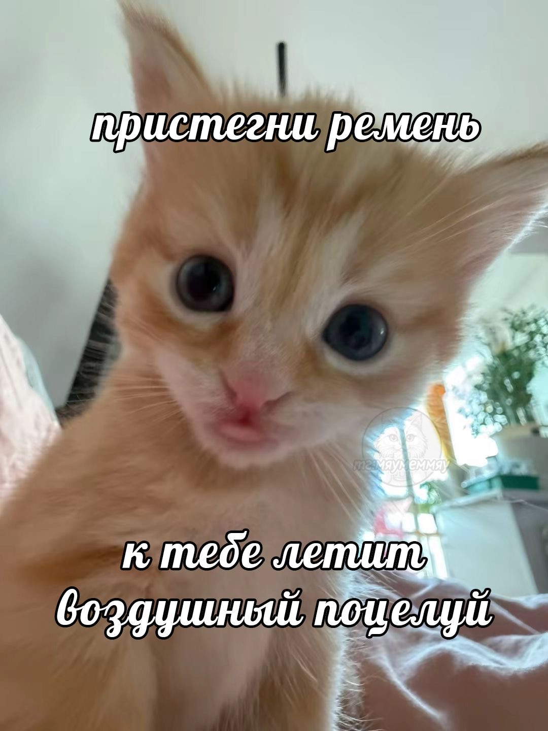 IMG_5151.jpeg