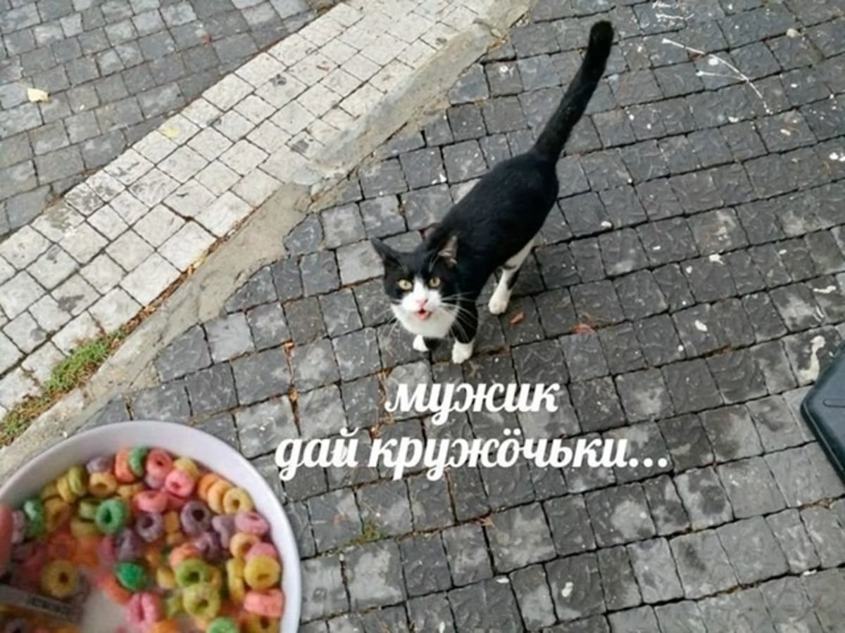 IMG_5192.jpeg