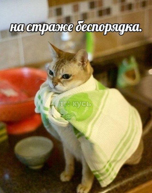 IMG_5263.jpeg