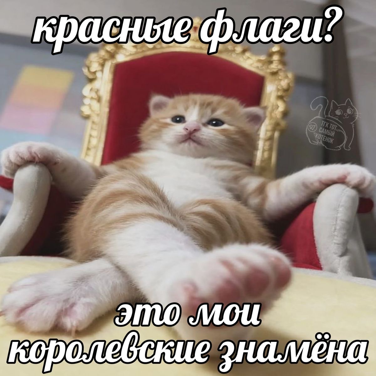 IMG_5281.jpeg