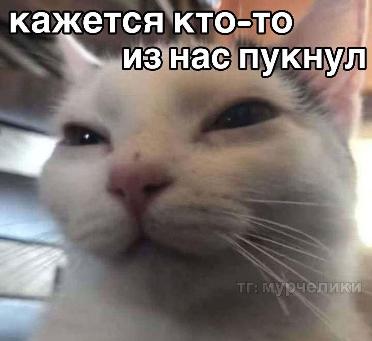 IMG_5282.jpeg