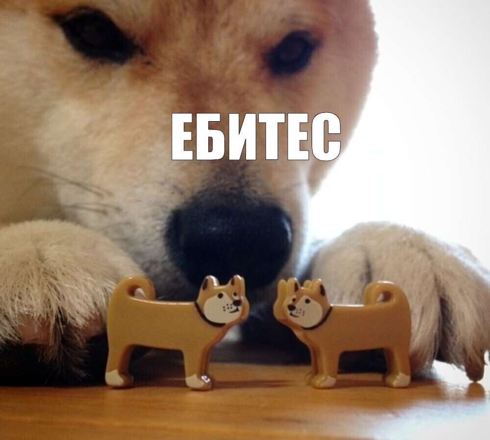IMG_5322.jpeg