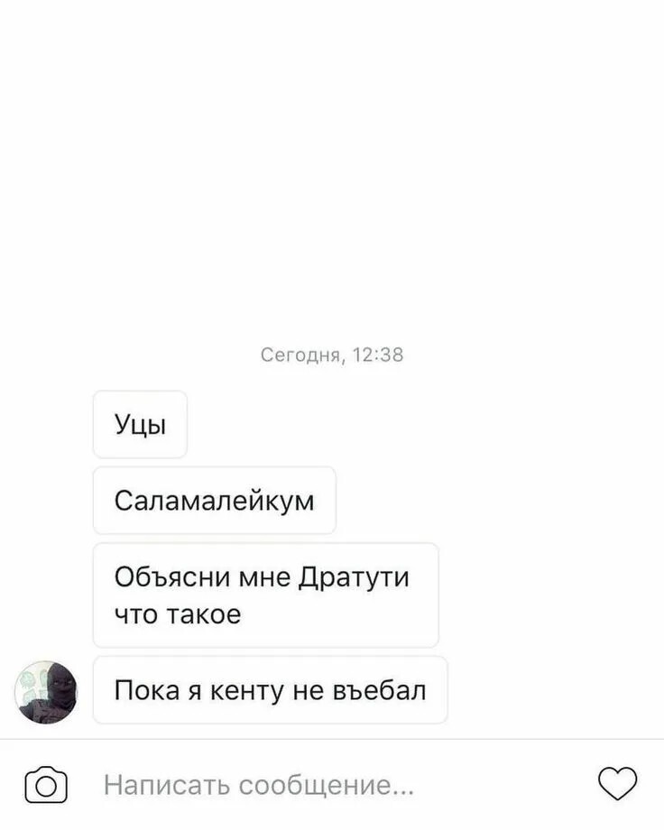 IMG_5331.jpeg