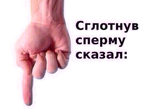 IMG_5354.jpeg