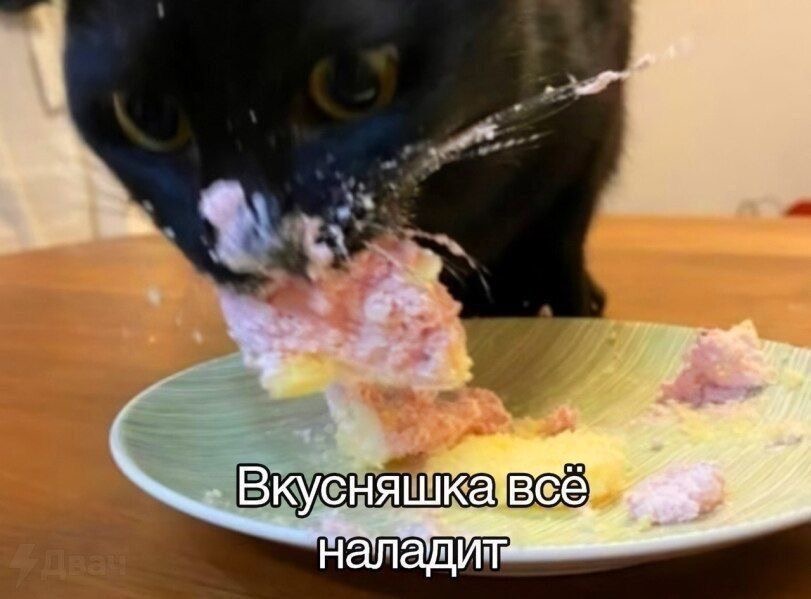 IMG_5424.jpeg