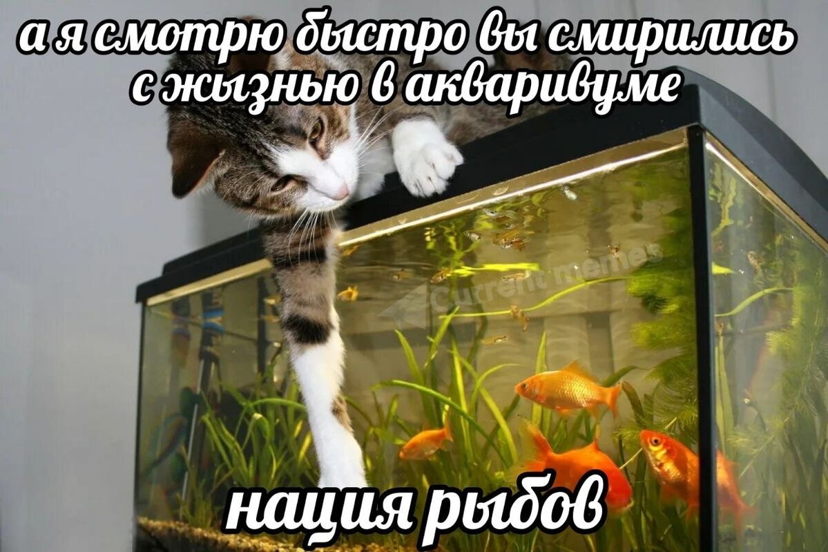 IMG_5433.jpeg
