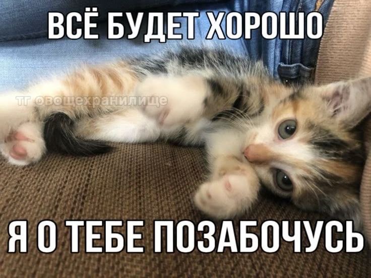 IMG_5434.jpeg