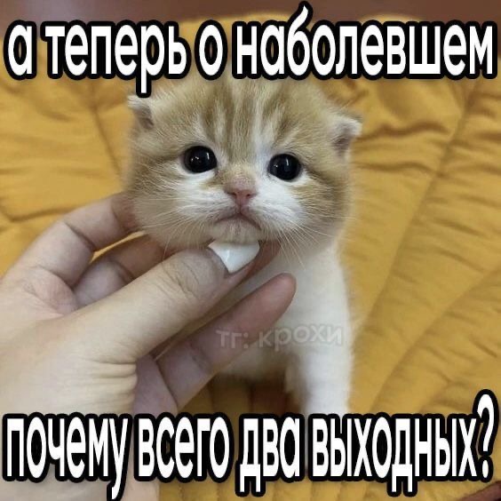IMG_5443.jpeg