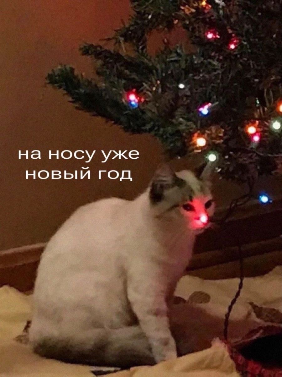 IMG_5534.jpeg