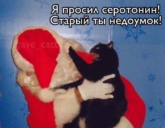 IMG_5536.jpeg