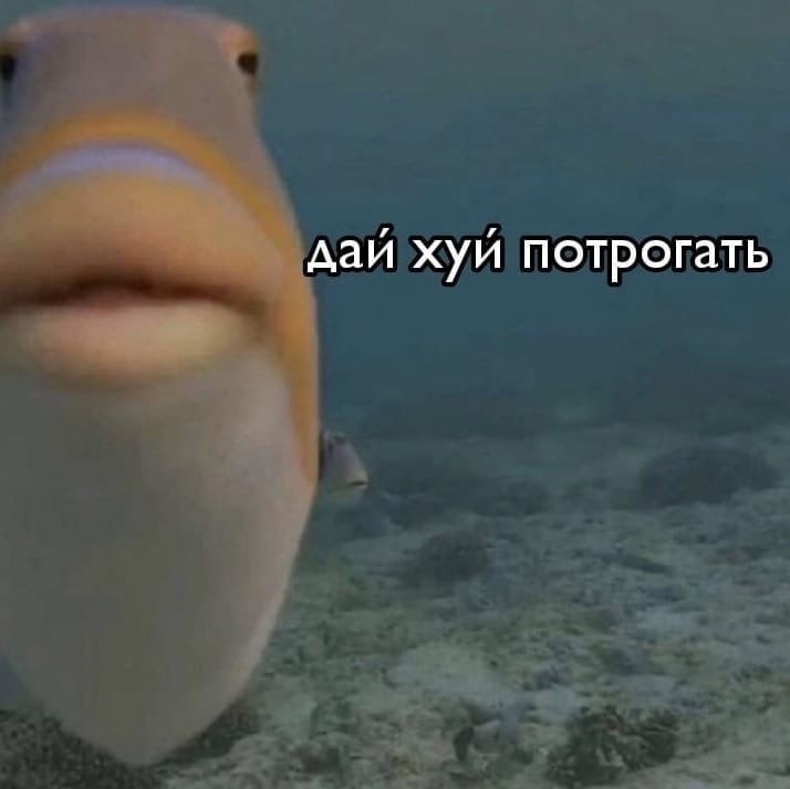 IMG_5546.jpeg