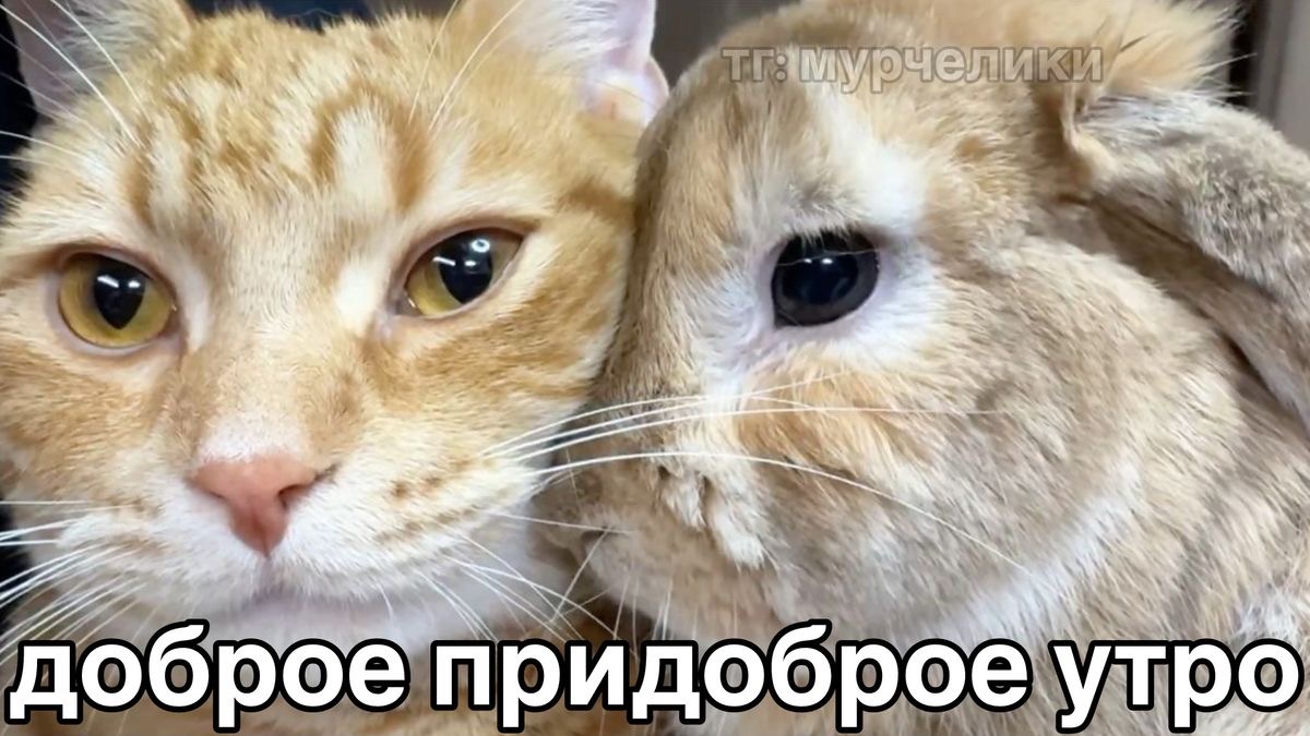 IMG_5561.jpeg