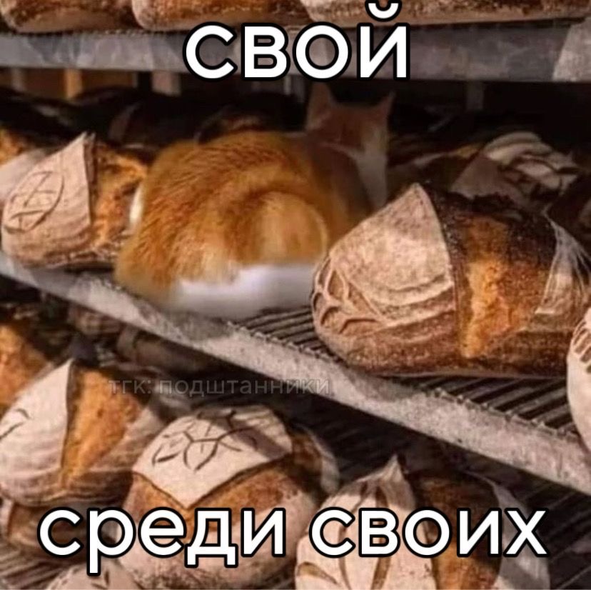 IMG_5721.jpeg