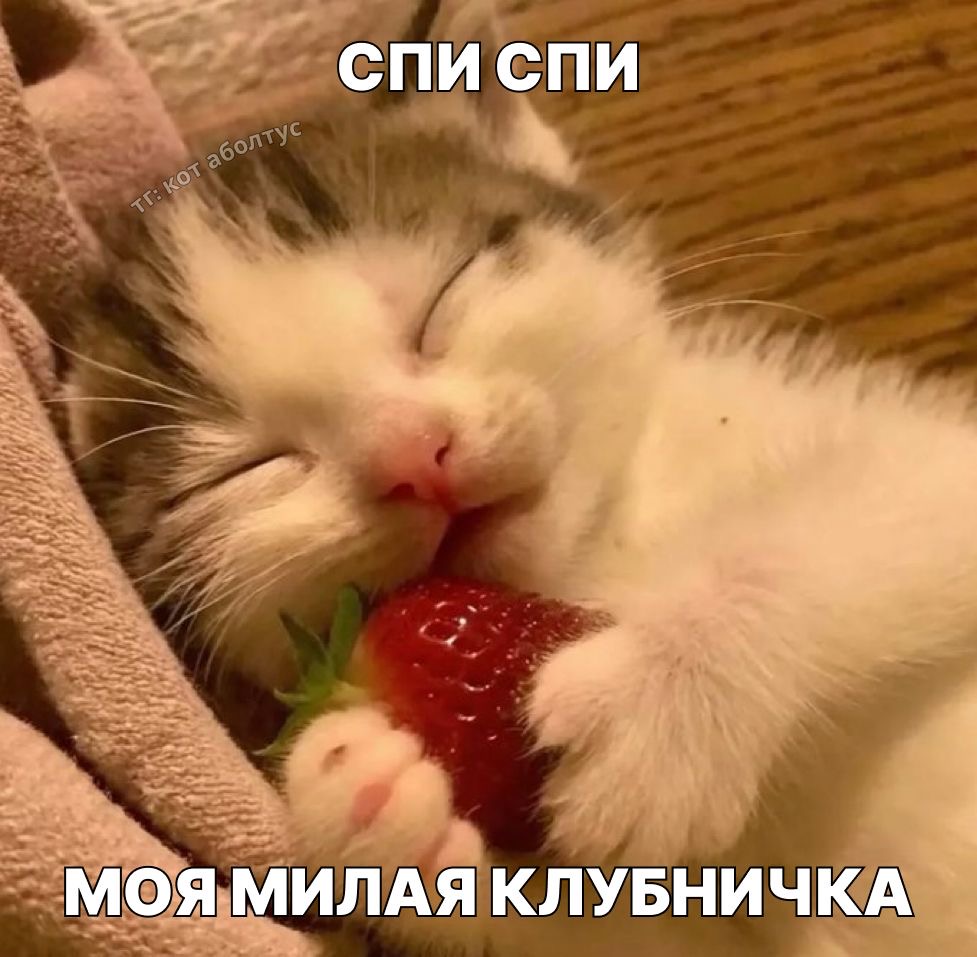 IMG_5723.jpeg
