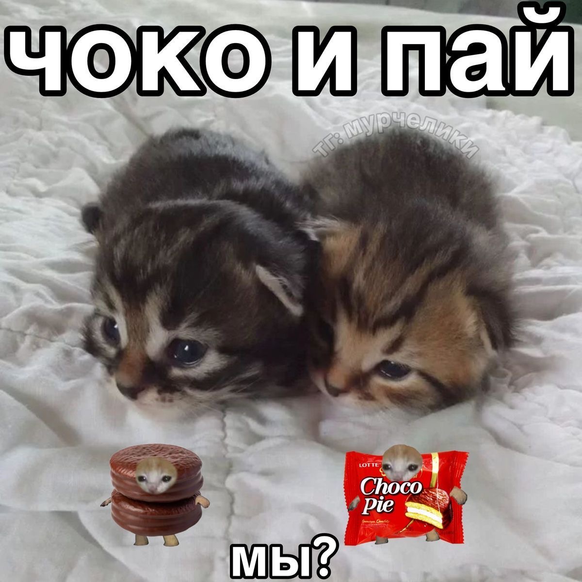 IMG_5724.jpeg