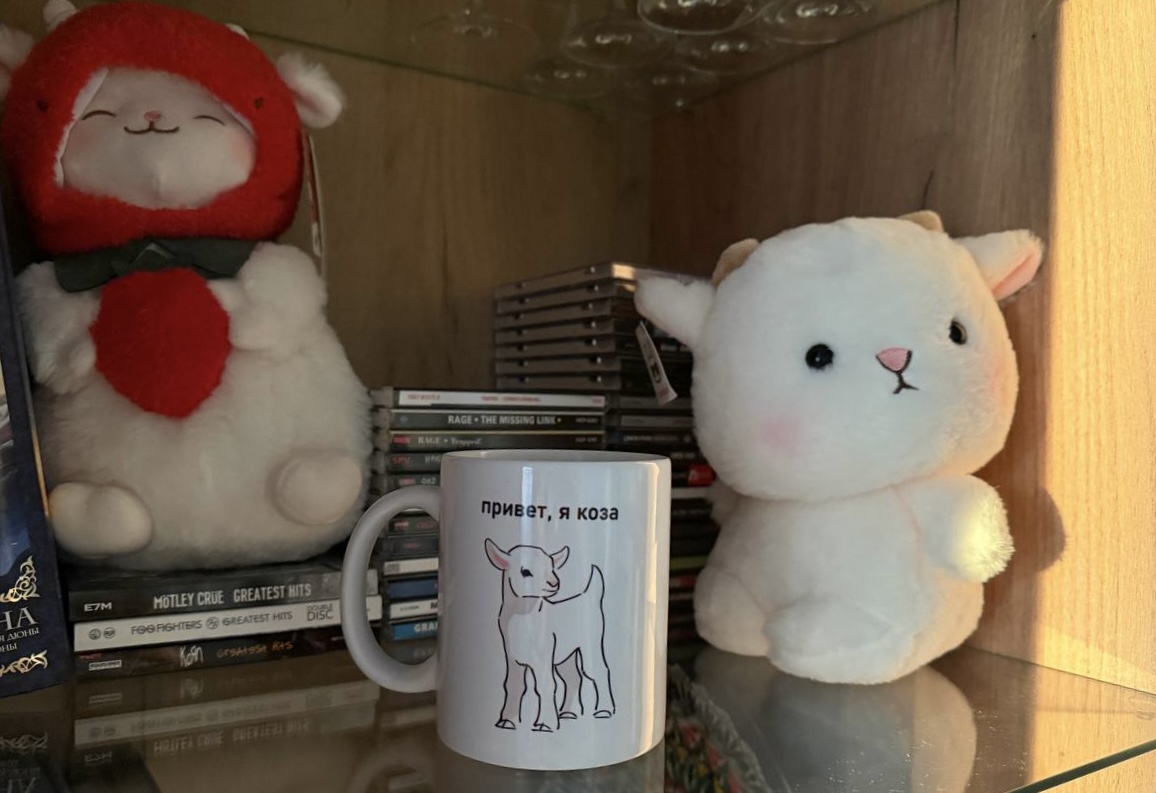 IMG_5819.jpeg
