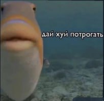 IMG_5835.jpeg
