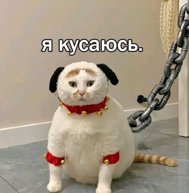 IMG_5869.jpeg