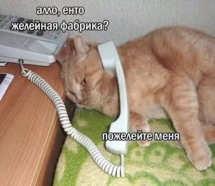 IMG_5875.jpeg