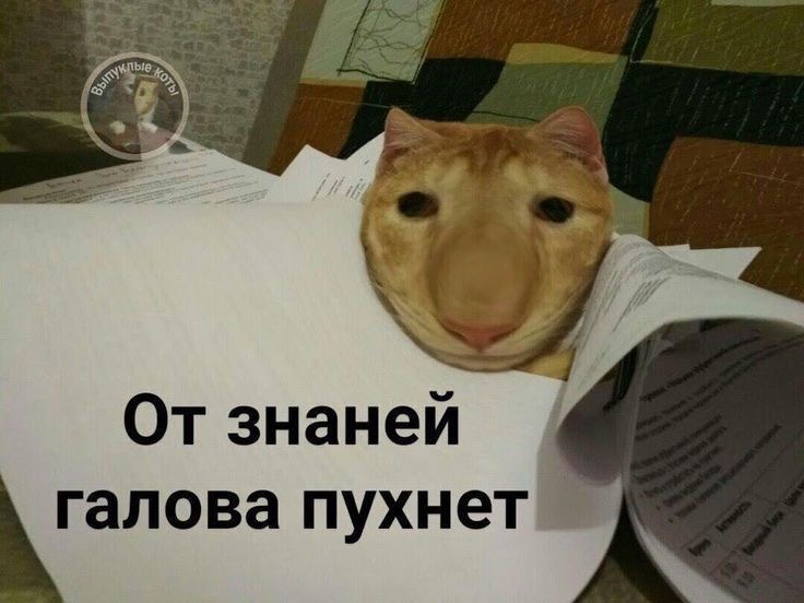 IMG_5888.jpeg