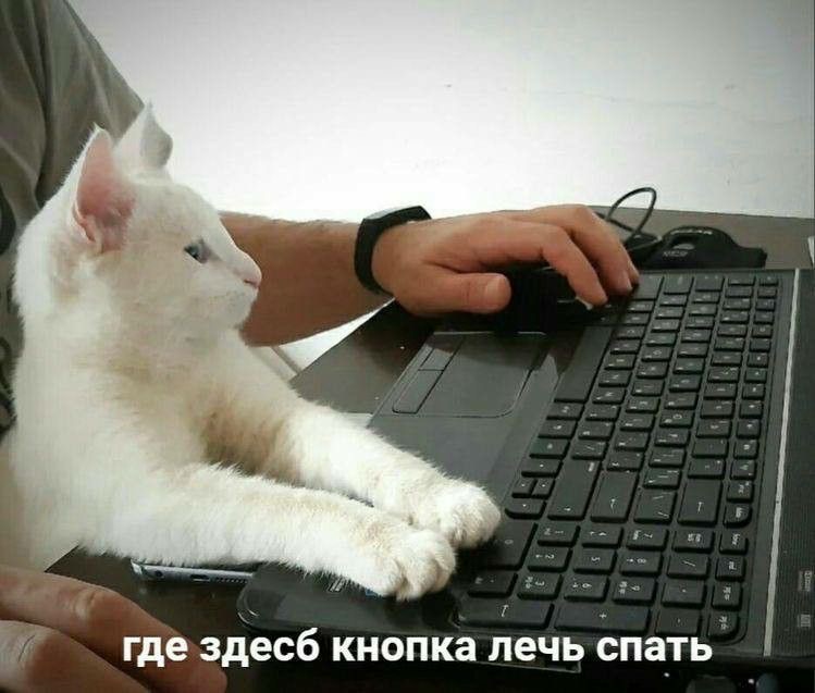 IMG_5889.jpeg