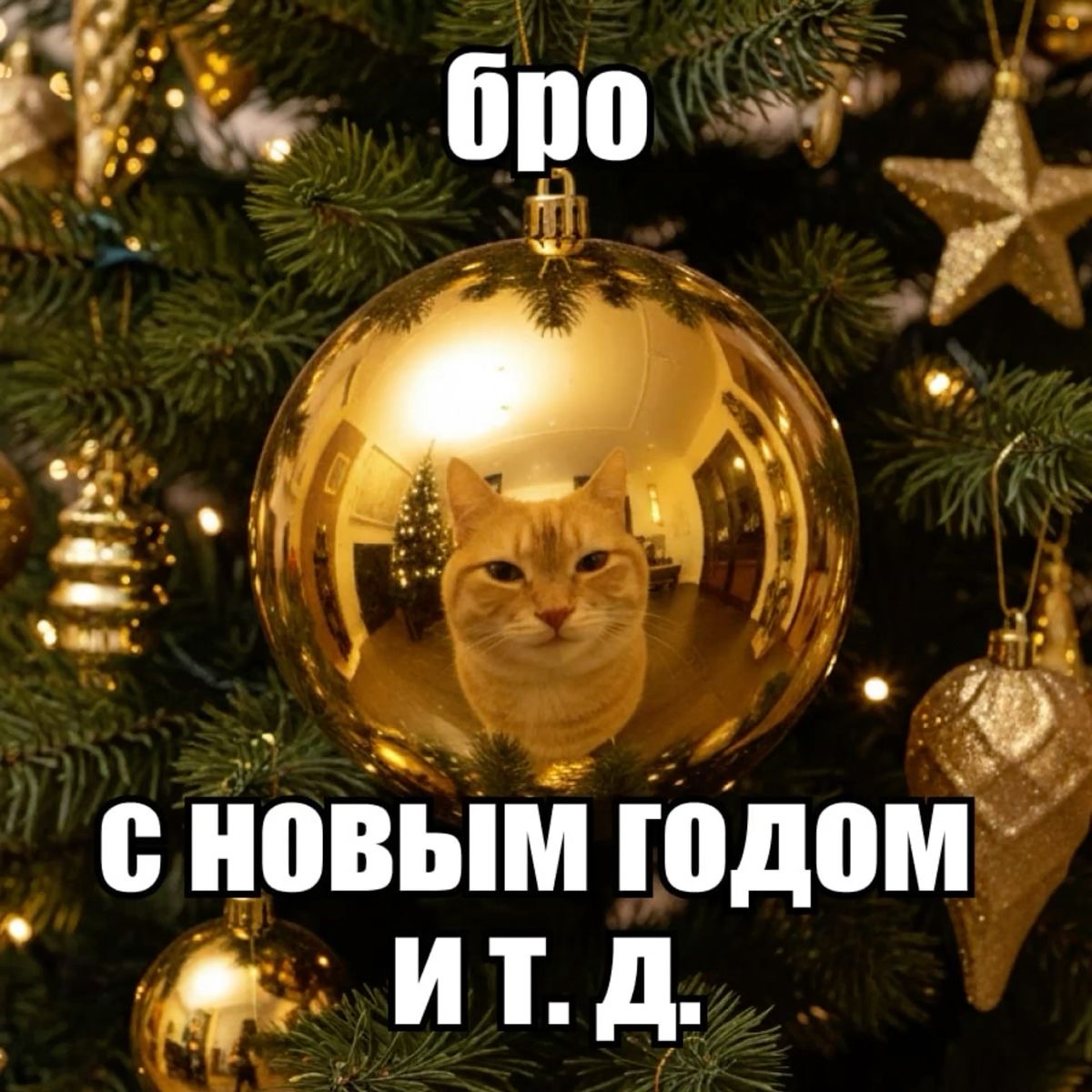 IMG_6033.jpeg
