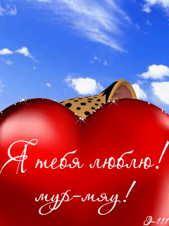 IMG_6047.gif