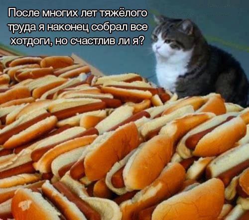IMG_6242.jpeg
