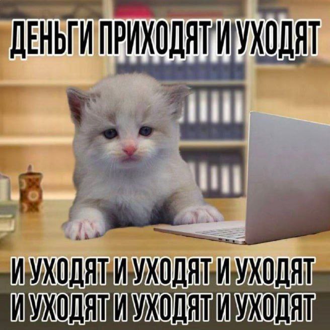 IMG_6253.jpeg