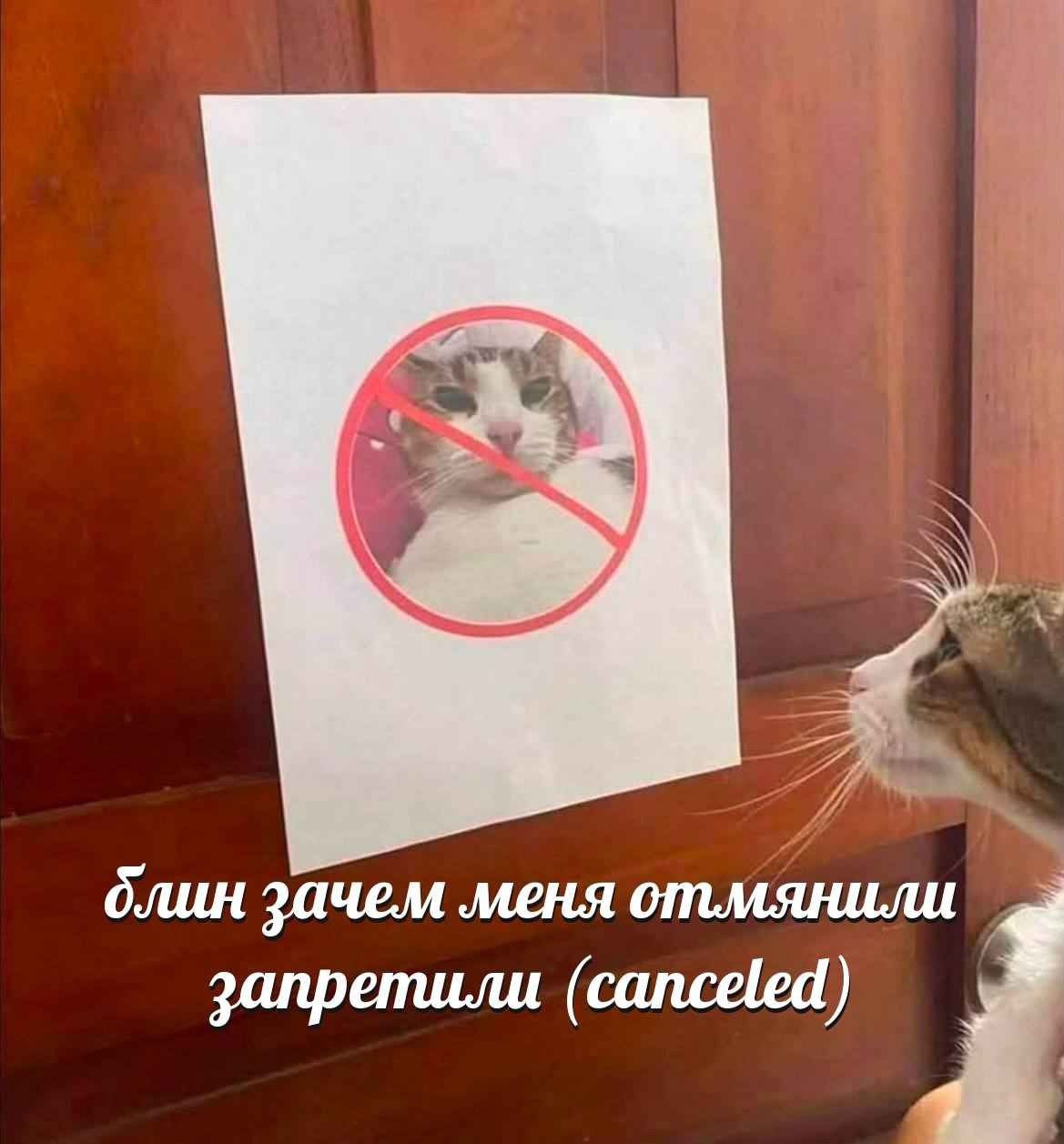 IMG_6403.jpeg