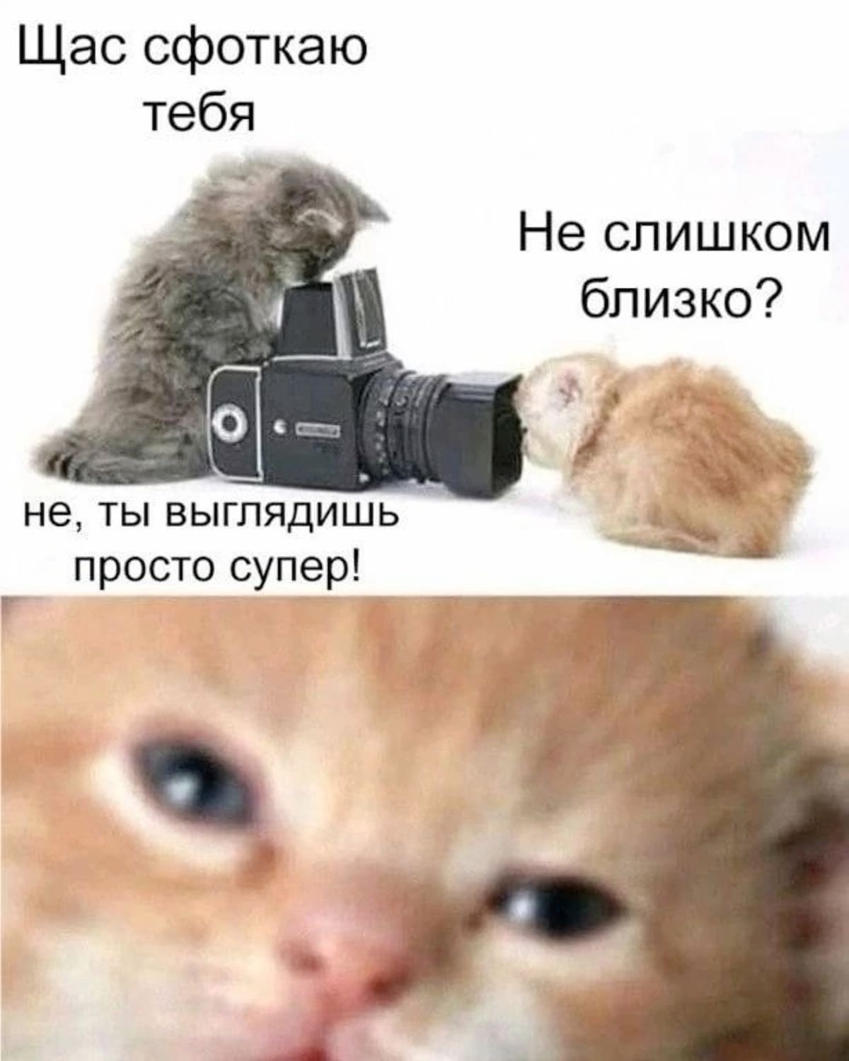 IMG_6409.jpeg