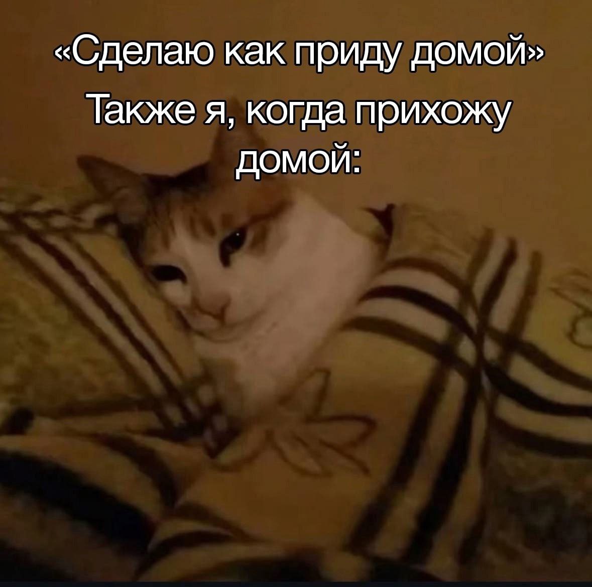 IMG_6415.jpeg