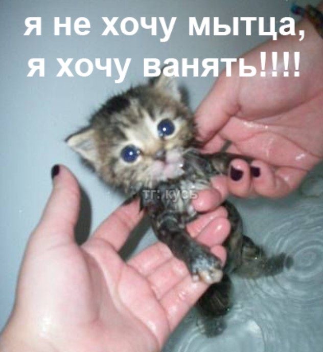 IMG_6489.jpeg