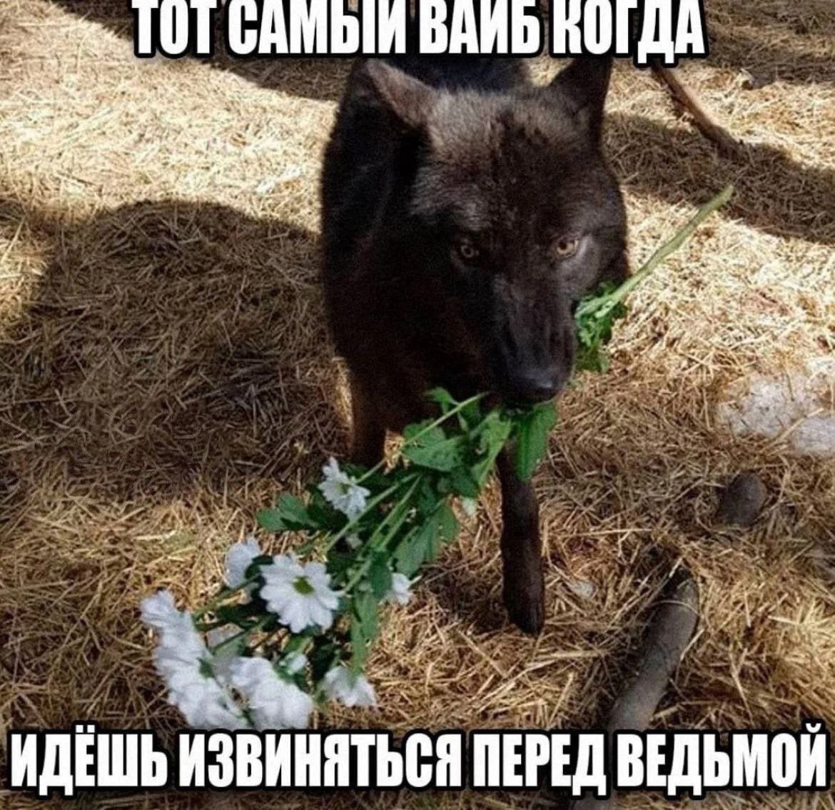IMG_6544.jpeg