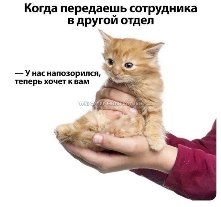 IMG_6609.jpeg
