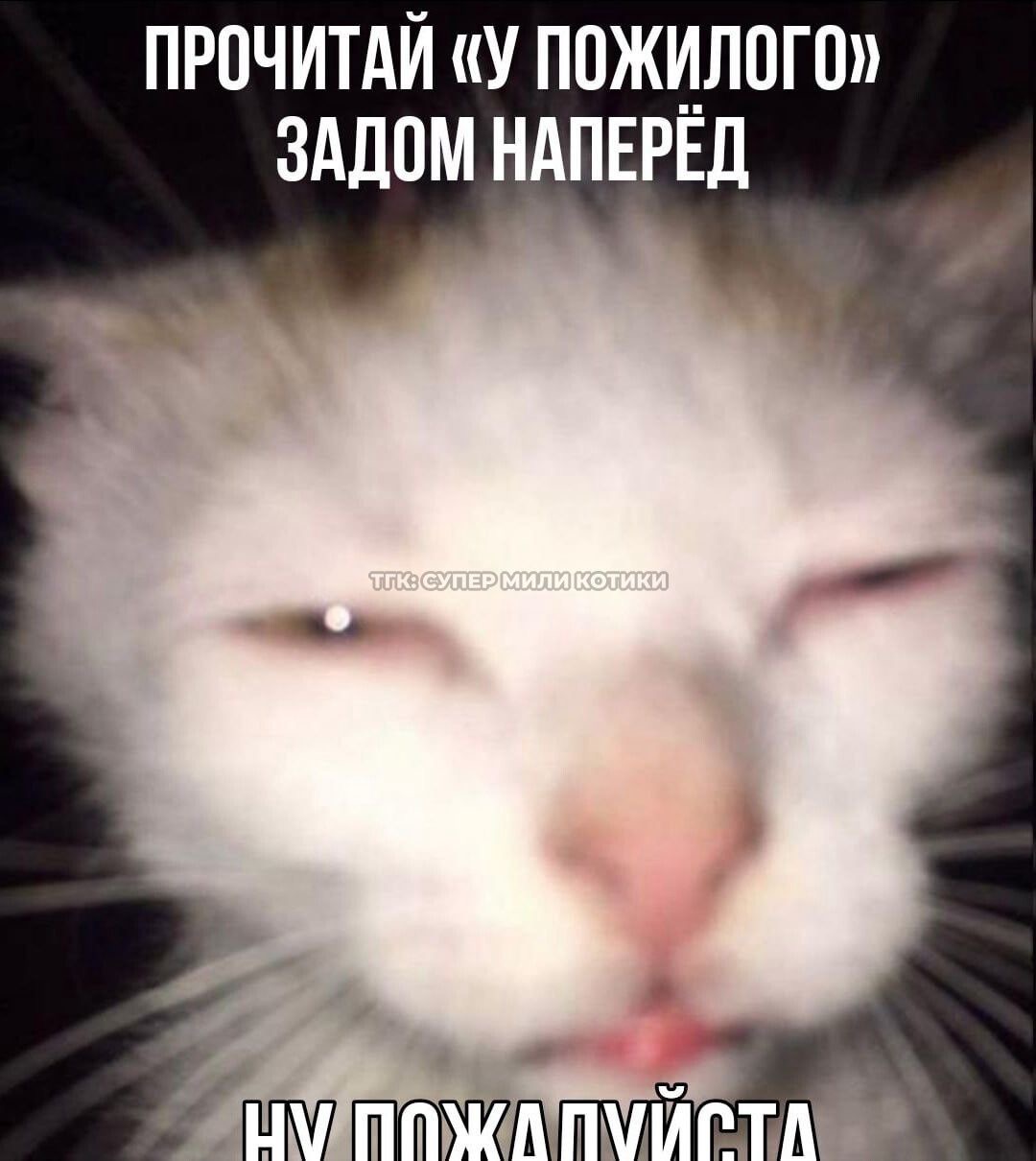 IMG_6611.jpeg