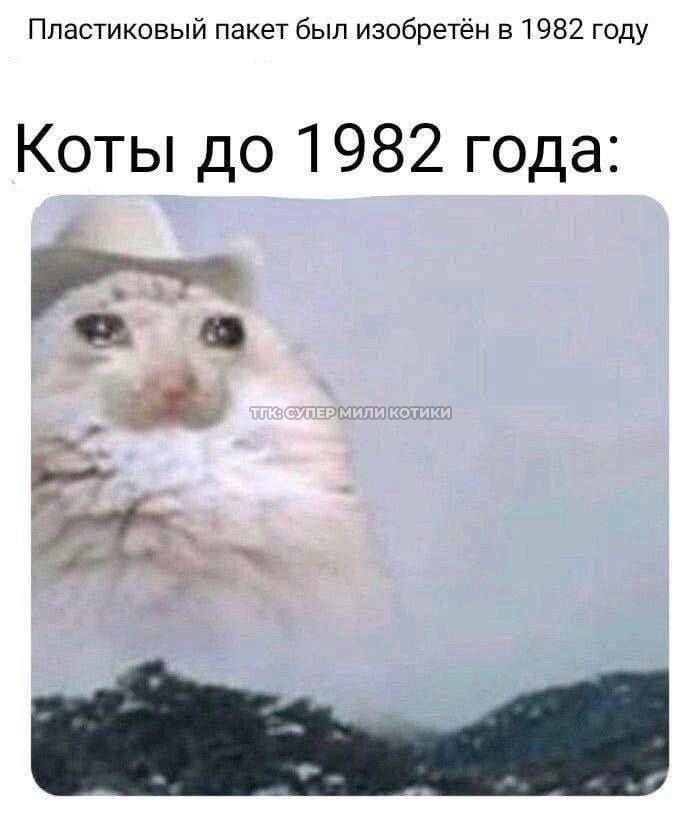 IMG_6615.jpeg