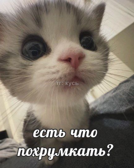 IMG_6616.jpeg