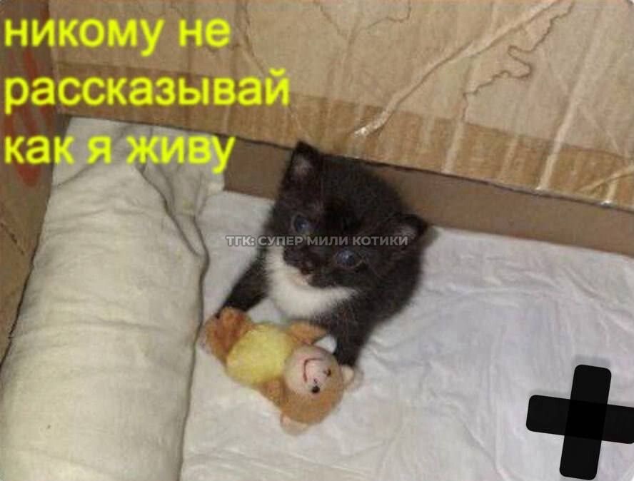 IMG_6617.jpeg