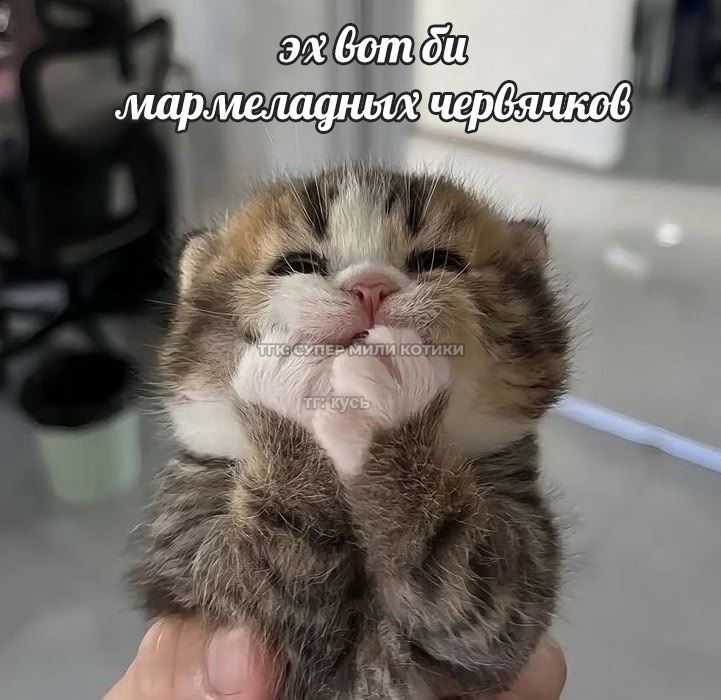 IMG_6618.jpeg