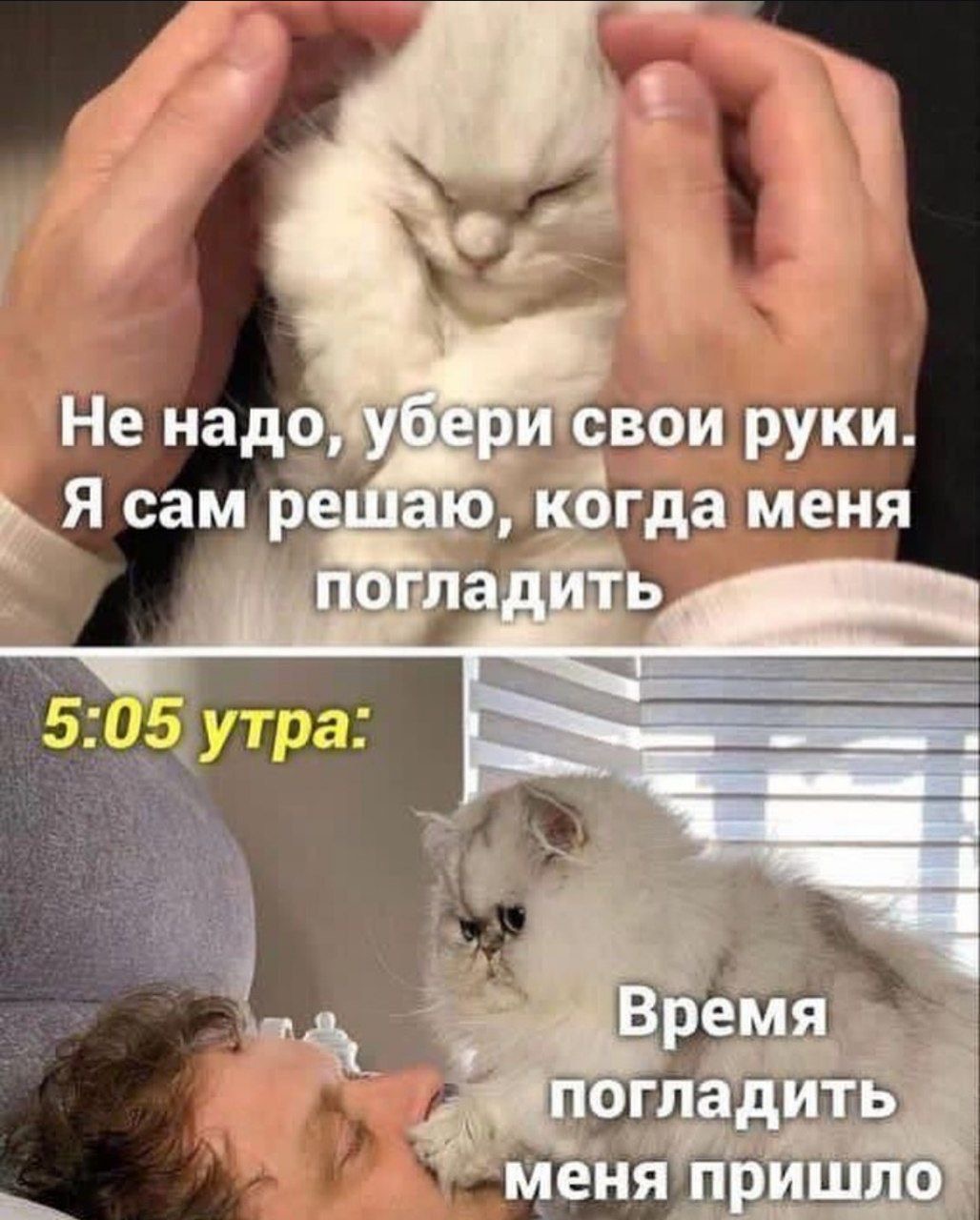 IMG_6619.jpeg