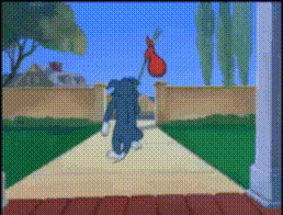 IMG_6772.gif