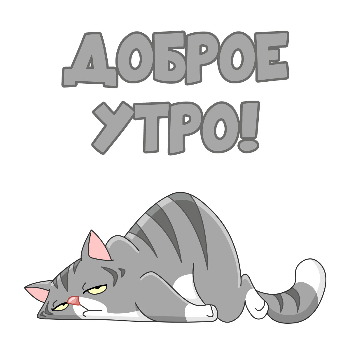 IMG_7023.jpeg