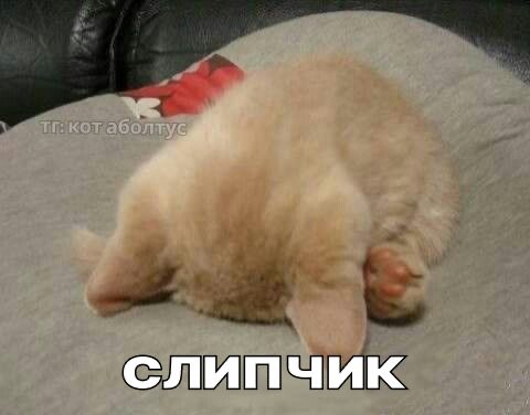 IMG_7092.jpeg