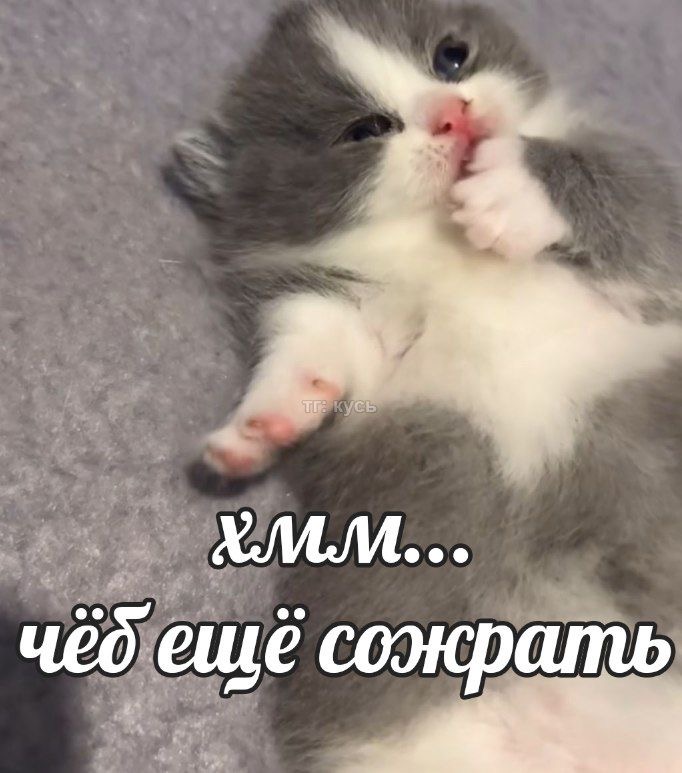 IMG_7117.jpeg